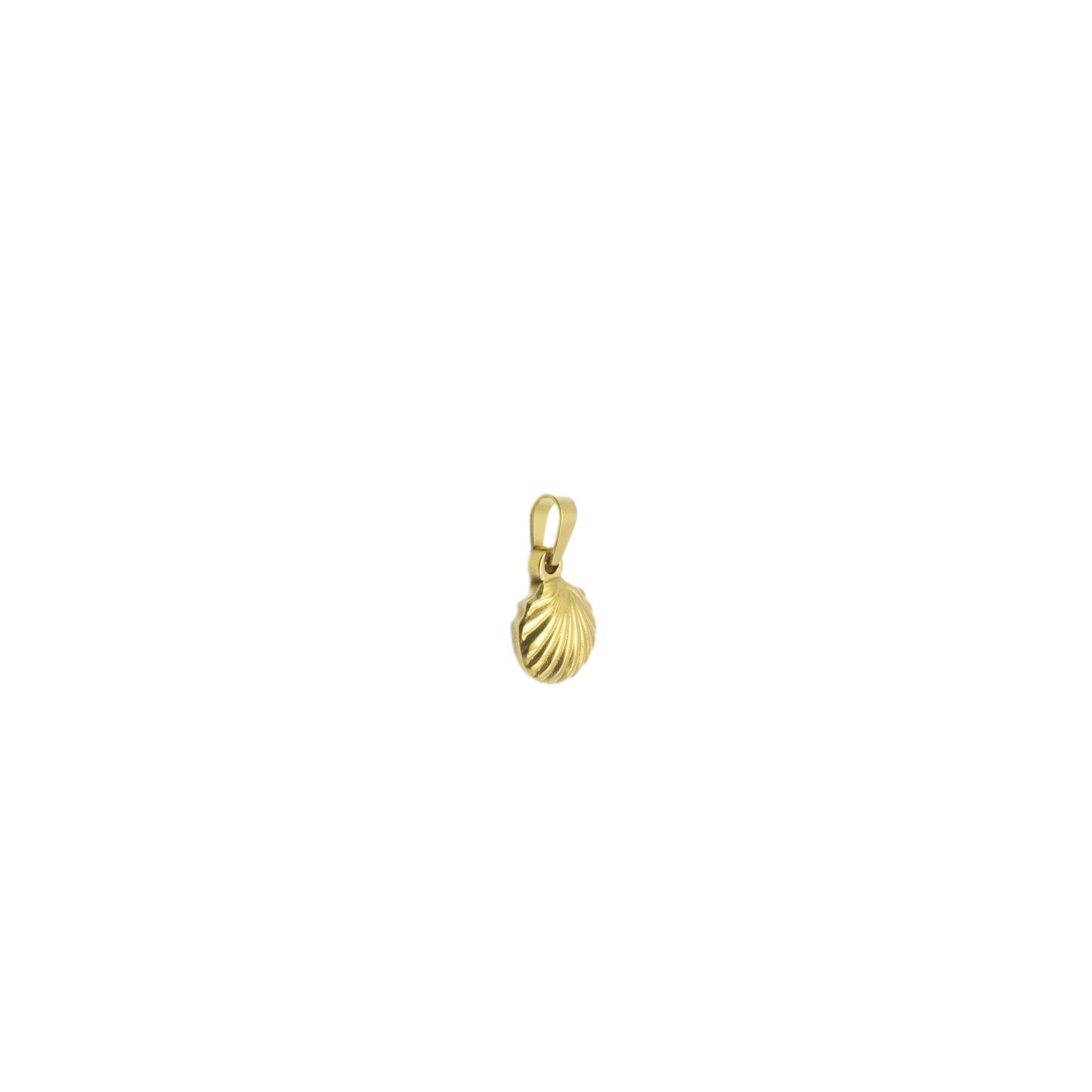 Shell Pendant