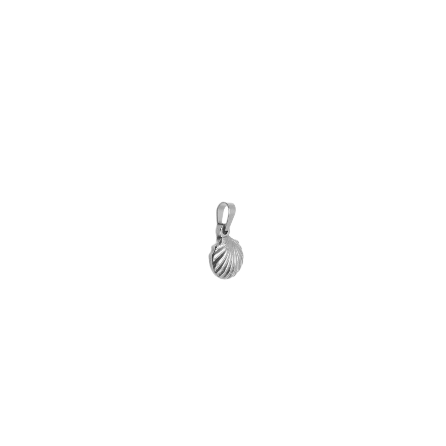 Shell Pendant