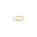 Bubble Ring